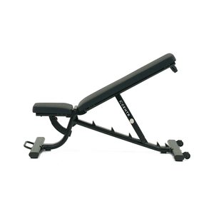 Centr Multi-Adjustable Flat, Incline, Decline, Workout Bench